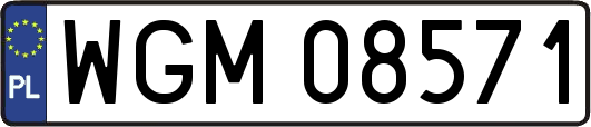 WGM08571