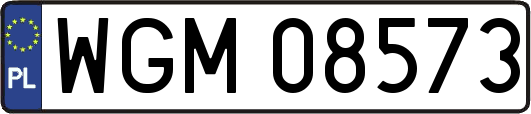 WGM08573