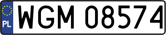 WGM08574
