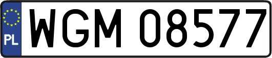 WGM08577