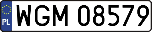 WGM08579
