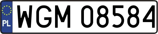 WGM08584