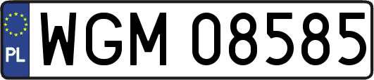 WGM08585