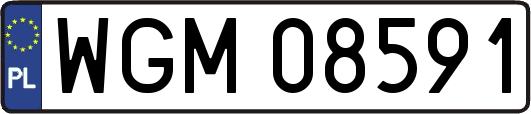 WGM08591