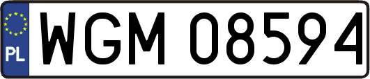WGM08594