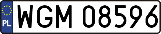 WGM08596