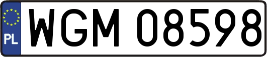 WGM08598