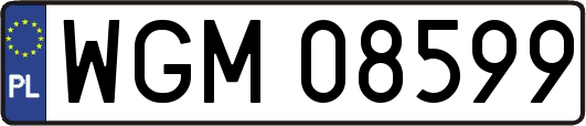 WGM08599