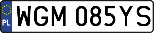WGM085YS