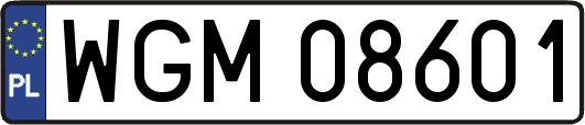 WGM08601
