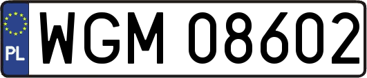 WGM08602