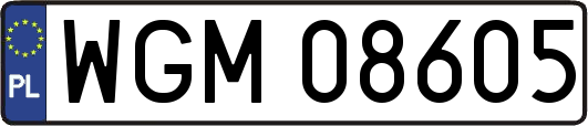WGM08605