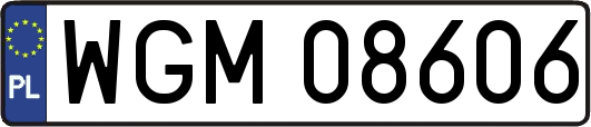 WGM08606