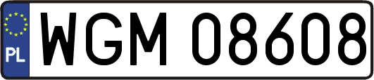 WGM08608