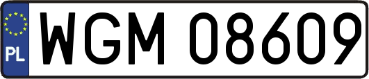 WGM08609