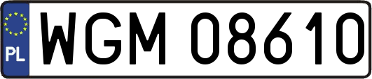 WGM08610