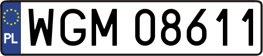 WGM08611