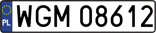 WGM08612