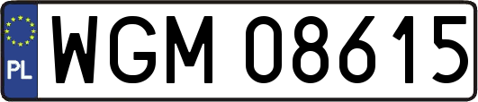 WGM08615