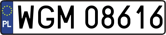 WGM08616