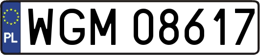 WGM08617