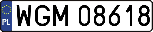 WGM08618