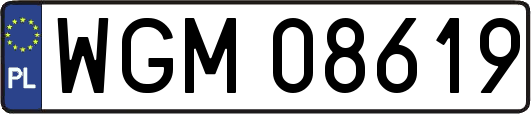 WGM08619