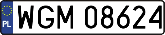 WGM08624