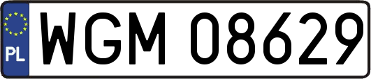 WGM08629