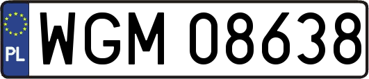 WGM08638