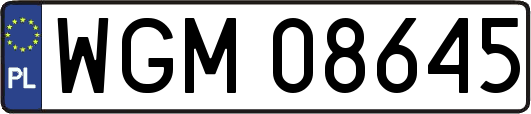 WGM08645
