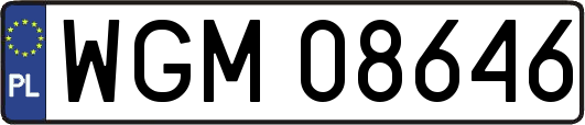 WGM08646