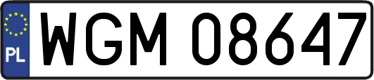 WGM08647