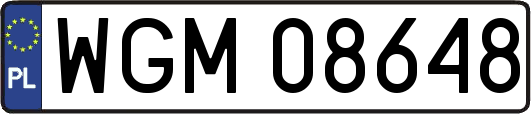 WGM08648