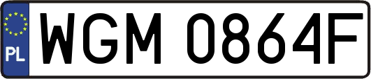 WGM0864F