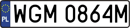 WGM0864M