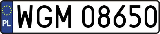 WGM08650