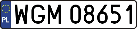 WGM08651