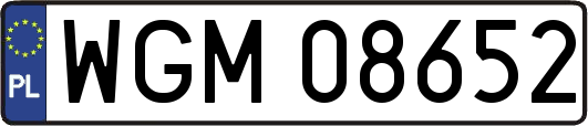 WGM08652