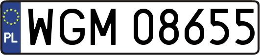 WGM08655