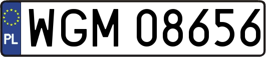WGM08656
