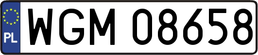 WGM08658