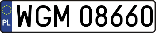 WGM08660