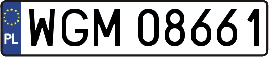 WGM08661