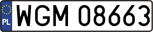 WGM08663