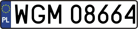 WGM08664