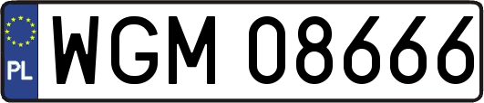 WGM08666
