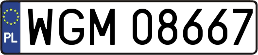WGM08667