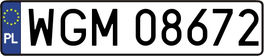 WGM08672