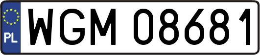 WGM08681